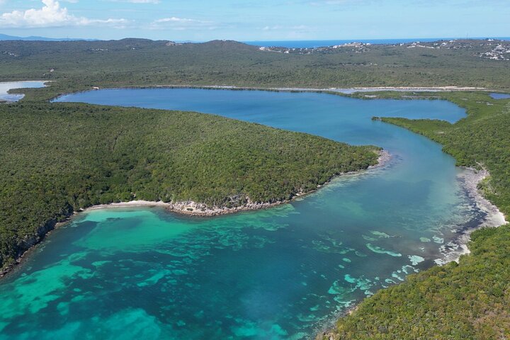 Dindin’s Biobay Tours-CLEAR BOTTOM KAYAKS Tour in Mosquito Bay