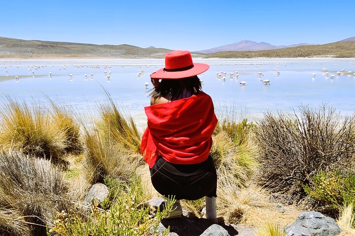 3-Day Salt Flats, Lagoons and Geysers from Uyuni to San Pedro