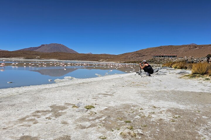 3-Day Salt Flats, Lagoons and Geysers from Uyuni to San Pedro