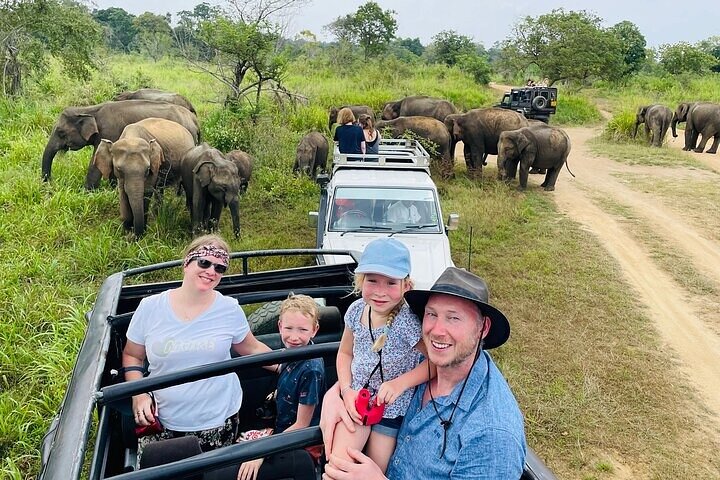 Private Polonnaruwa Ruins & Minneriya Safari Tour from Sigiriya