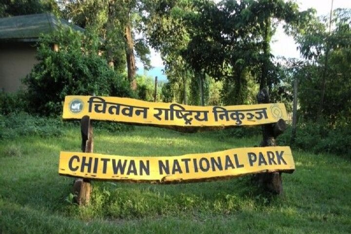 Half Day Sharing Jeep Safari in Chitwan National Park