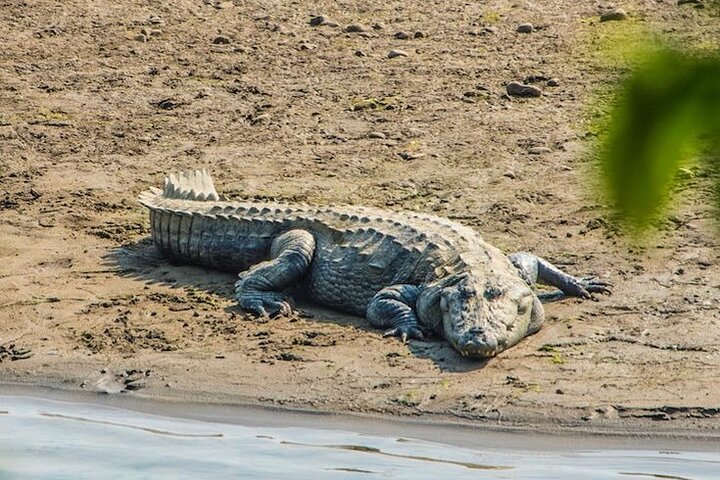 Half Day Sharing Jeep Safari in Chitwan National Park
