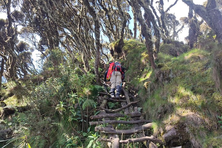 1 Day Mount Sabyinyo Hiking Adventure