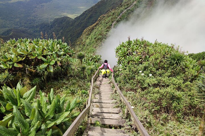 1 Day Mount Sabyinyo Hiking Adventure