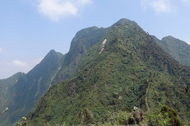 1 Day Mount Sabyinyo Hiking Adventure