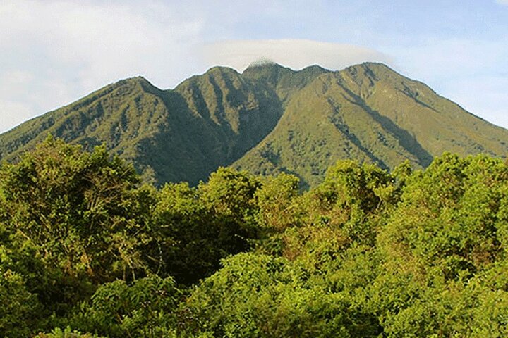 1 Day Mount Sabyinyo Hiking Adventure