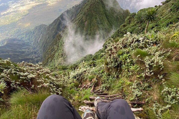 1 Day Mount Sabyinyo Hiking Adventure