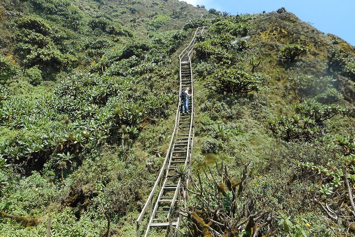1 Day Mount Sabyinyo Hiking Adventure