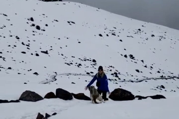 Chimborazo Private Transfer from Riobamba – Carrel Refuge Visit