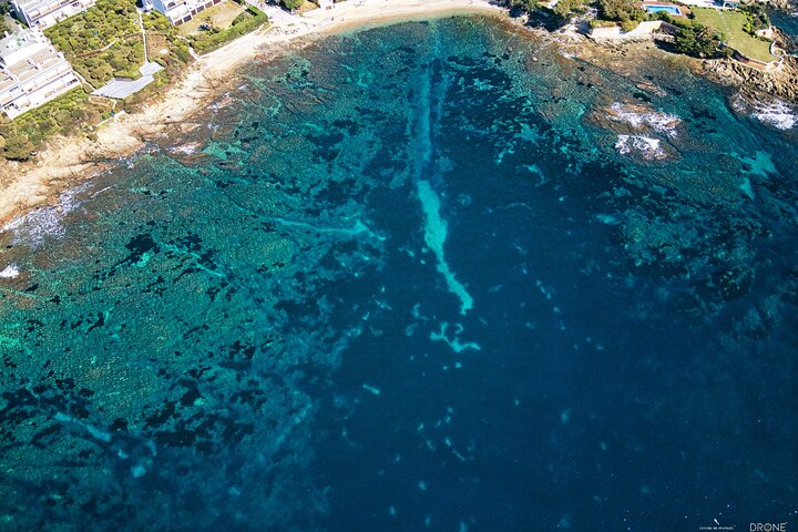 Snorkeling Excursion 2h30 Cap Roux & Calanques de l'Esterel