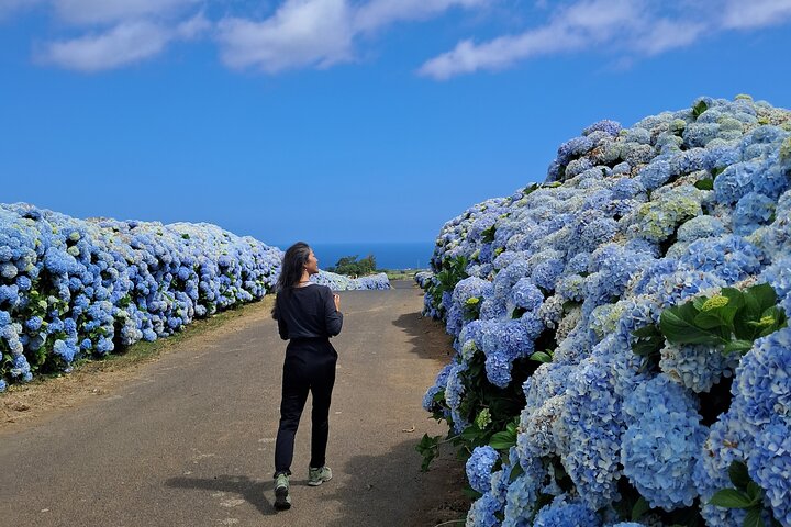 Terceira Island Highlights with Local Guide