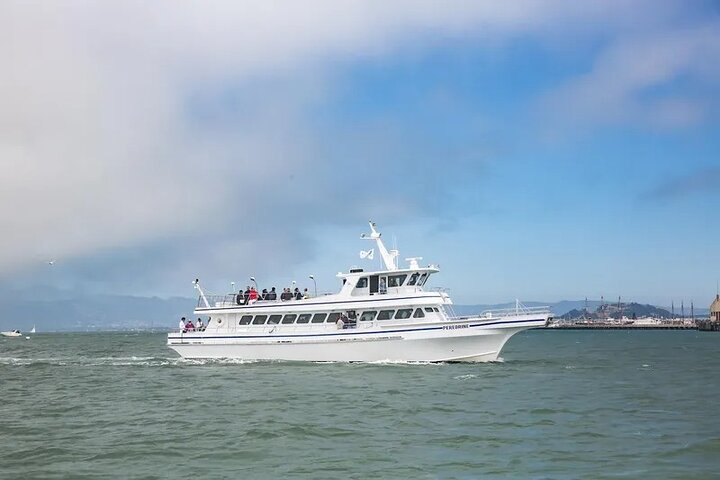 San Diego Whale/Dolphin Watching Cruise Aboard Luxury Vessel