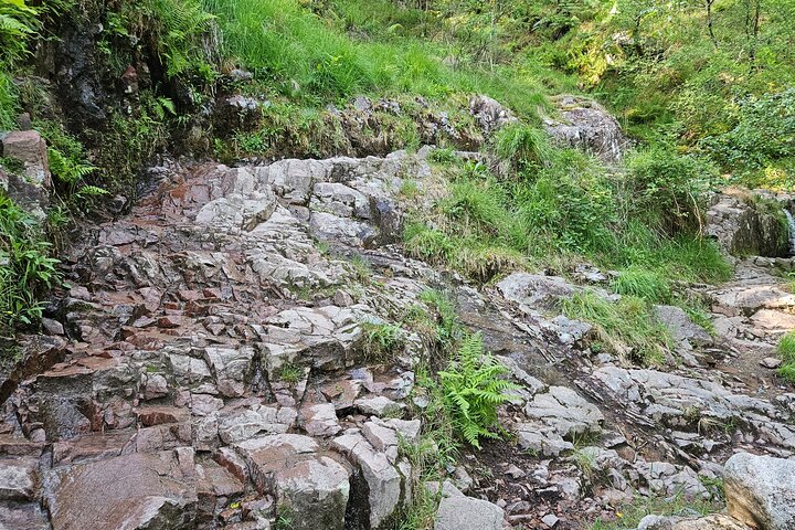Fort William: Steall Falls & Nevis Gorge Hike