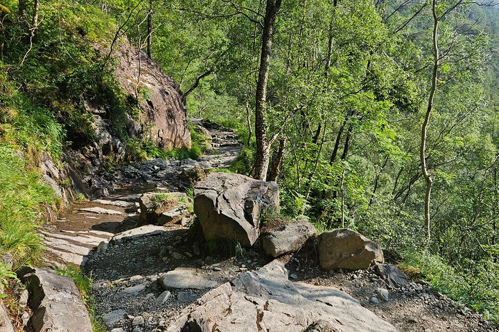 Fort William: Steall Falls & Nevis Gorge Hike