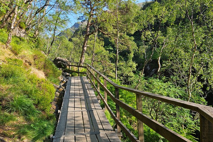 Fort William: Steall Falls & Nevis Gorge Hike