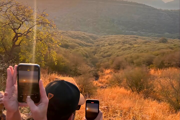 Ranthambore Tiger Safari | Shared Canter, Jeep & Private Safari