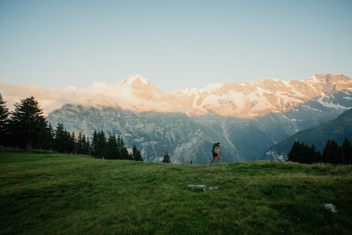 Interlaken: hidden waterfall hike & swiss raclette experience