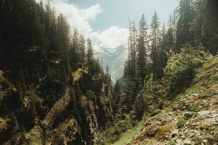 Interlaken: hidden waterfall hike & swiss raclette experience