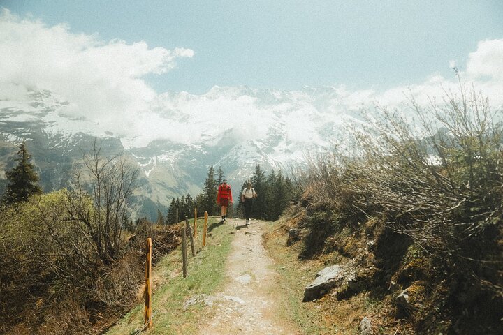 Interlaken: hidden waterfall hike & swiss raclette experience