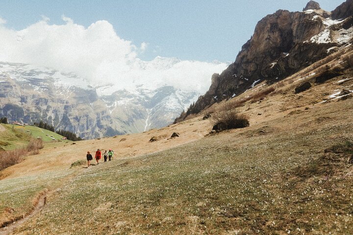 Interlaken: hidden waterfall hike & swiss raclette experience