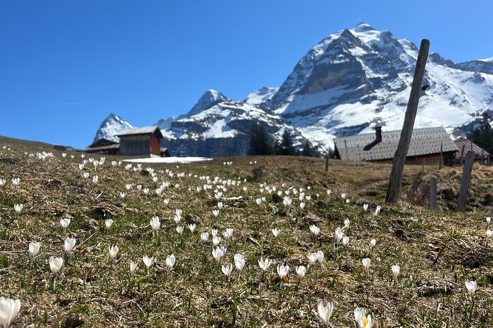 Interlaken: hidden waterfall hike & swiss raclette experience