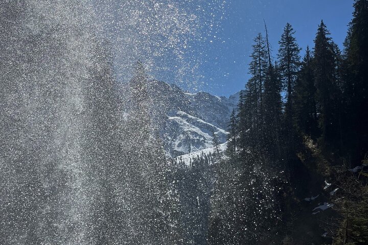 Interlaken: hidden waterfall hike & swiss raclette experience