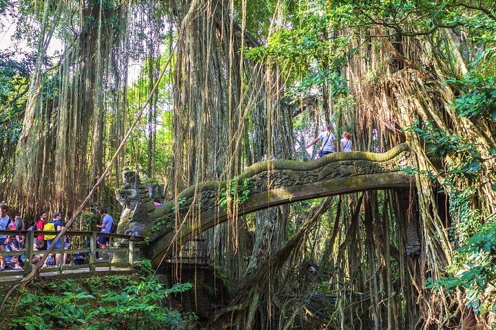 All-Inclusive Ubud Customized Private Tour