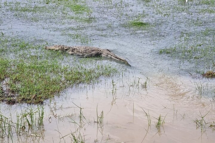 Yala safari from Galle / Unawatuna / Waligama / MIrissa / Matara