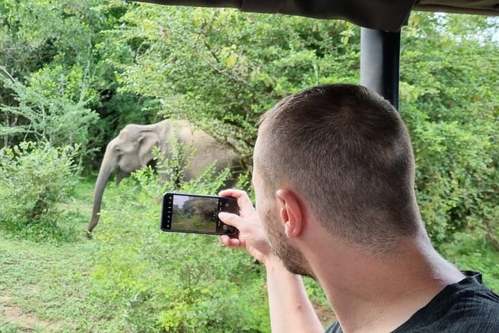 Yala safari from Galle / Unawatuna / Waligama / MIrissa / Matara