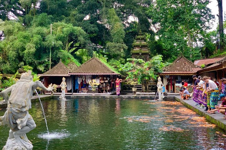 Discover The Best of Ubud: All-Inclusive and Private Guided Tour