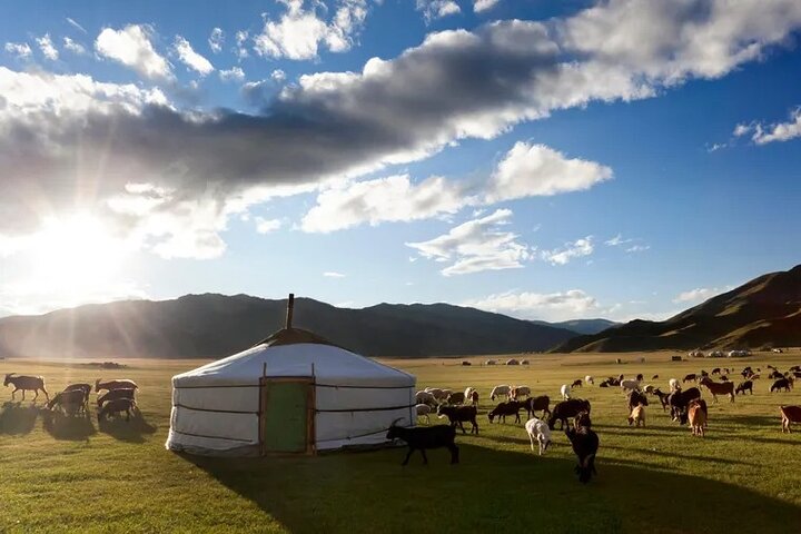 Gobi tour Mongolia with dinosaur fossils
