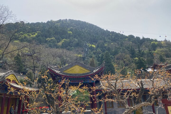 Customized Private Day Tour:Terracotta Army&Xi'an(Entry fee excl)