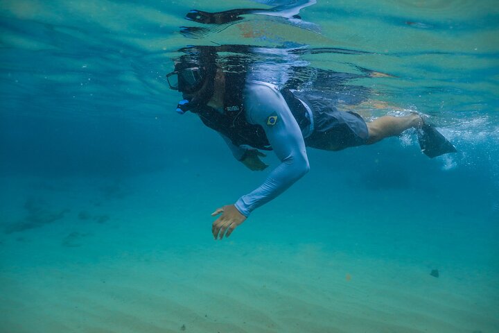 Snorkel Dive with Turtles