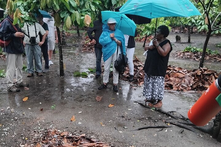 The Solomon Chocolate trail