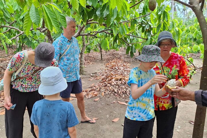 The Solomon Chocolate trail