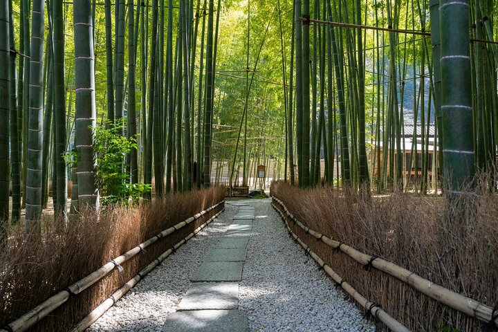 Kamakura Old Capital E-Bike Tour