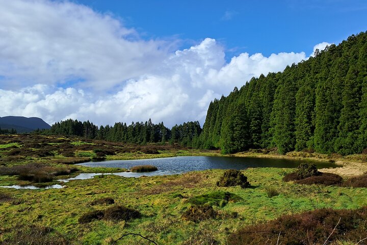 Terceira Island Highlights with Local Guide