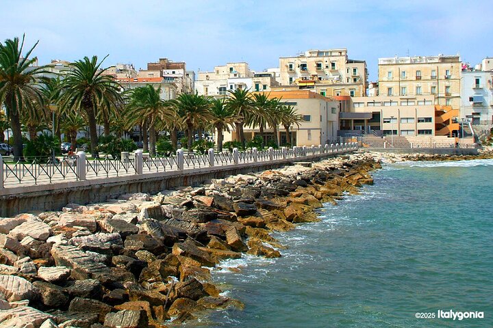 Unveiling VIESTE’s treasures: private tour, beauty & charm