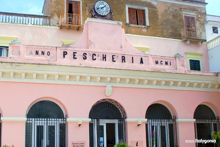 Unveiling VIESTE’s treasures: private tour, beauty & charm