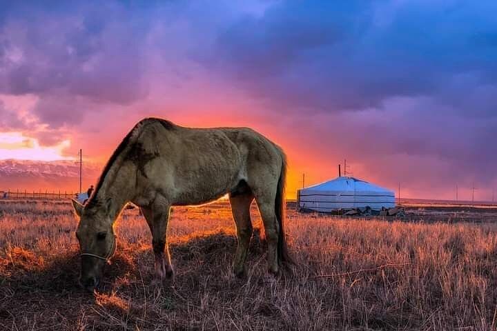Gobi tour Mongolia with dinosaur fossils