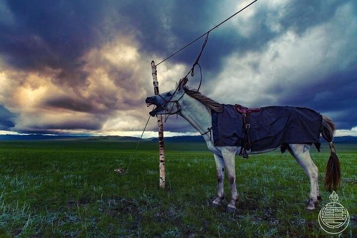 Reindeer Tribes Tour with Lake Khuwsgul