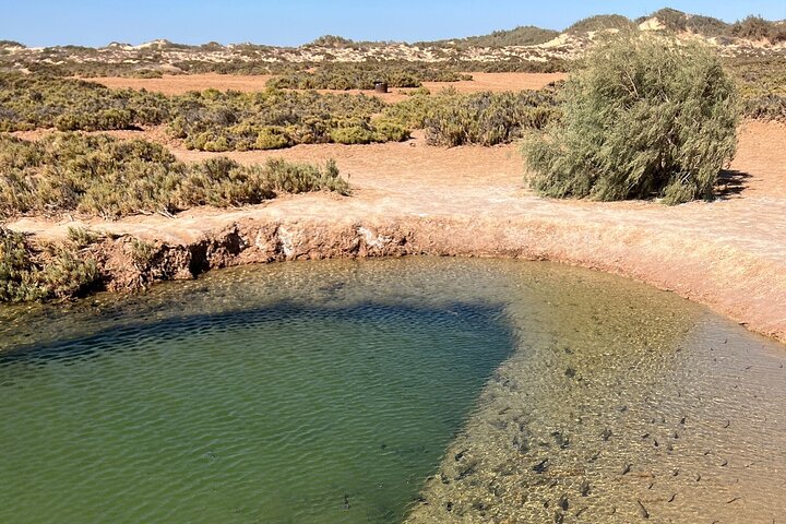 4×4 Adventure in the Dajla Desert – White Dune and Oasis Imlili