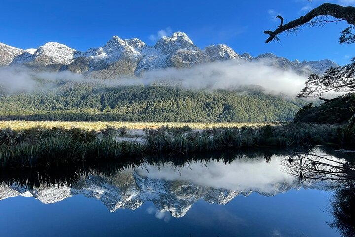 Premium Milford Sound Small Group Tour & Cruise from Queenstown