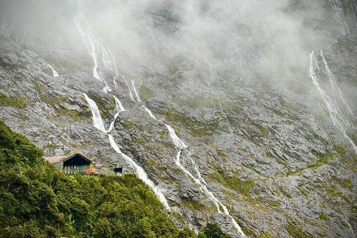 Premium Milford Sound Small Group Tour & Cruise from Queenstown