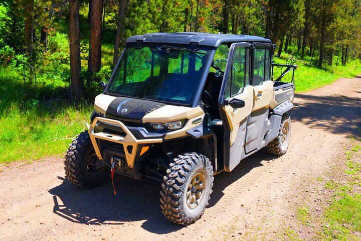 Guided ATV Adventure: Island Park (20 Mins from West Yellowstone)