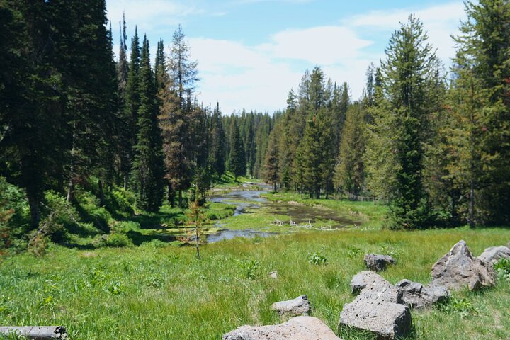 Guided ATV Adventure: Island Park (20 Mins from West Yellowstone)