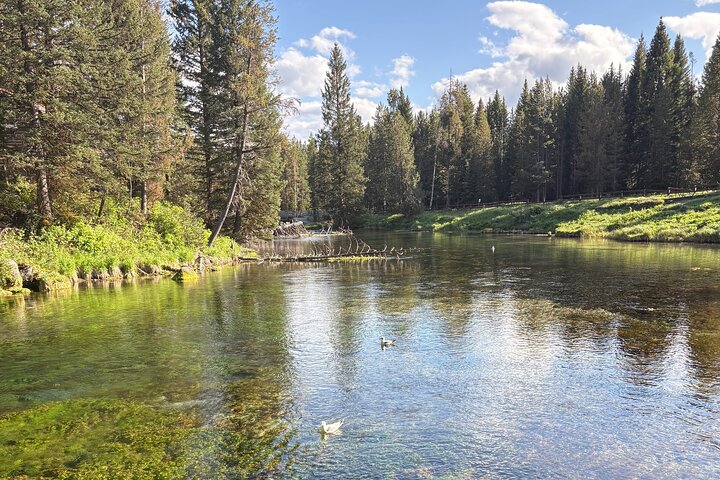 Guided ATV Adventure: Island Park (20 Mins from West Yellowstone)
