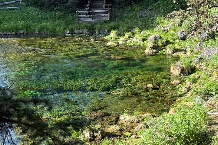 Guided ATV Adventure: Island Park (20 Mins from West Yellowstone)