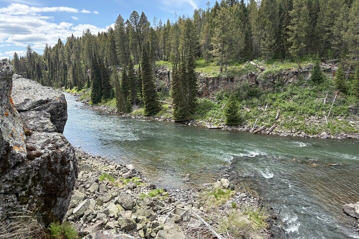 Guided ATV Adventure: Island Park (20 Mins from West Yellowstone)