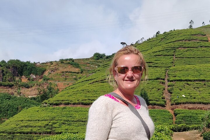 Kandy to Nuwara Eliya Private Day Tour: Tea Factory& Gregory Lake